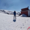 Verica